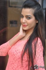 Diksha Panth at Kavvintha Movie Press Meet